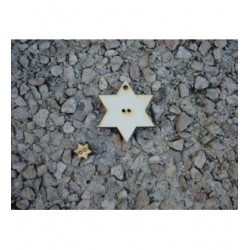 Pampille lot de 5 étoile bois en 6 mm 1560 une décoration de sapin