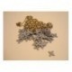 fleurs 1761 en mousse lot de 20 pour vos albums de scrapbooking