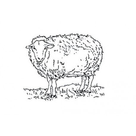 Tampon mouton TC175 vendu non monté