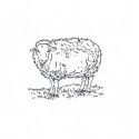 Tampon mouton TC175 vendu non monté