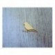 petit oiseau 1335 embellissement en bois pour vos créations