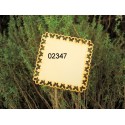 cadre 02347 embellissement décoration pour scrapbooking