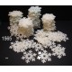 lot de 10 flocons 1565a en plexi transparent