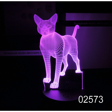 Lampe 3D veilleuse 2573 cadeau modèle sur mesure